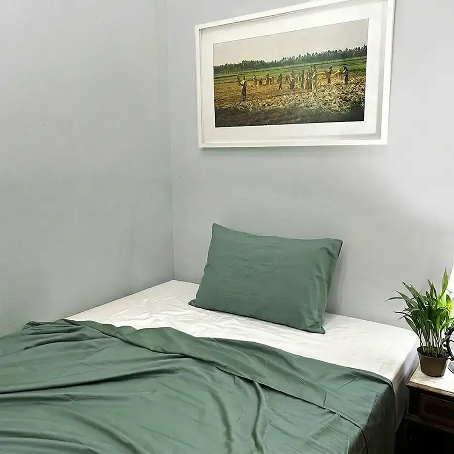 Jogo de Cama Bambu Marfim e Verde – 3 peças